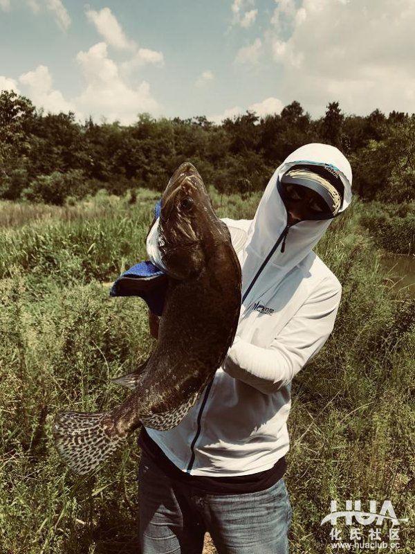 闲来游钓山水间，野塘子里上奇货！