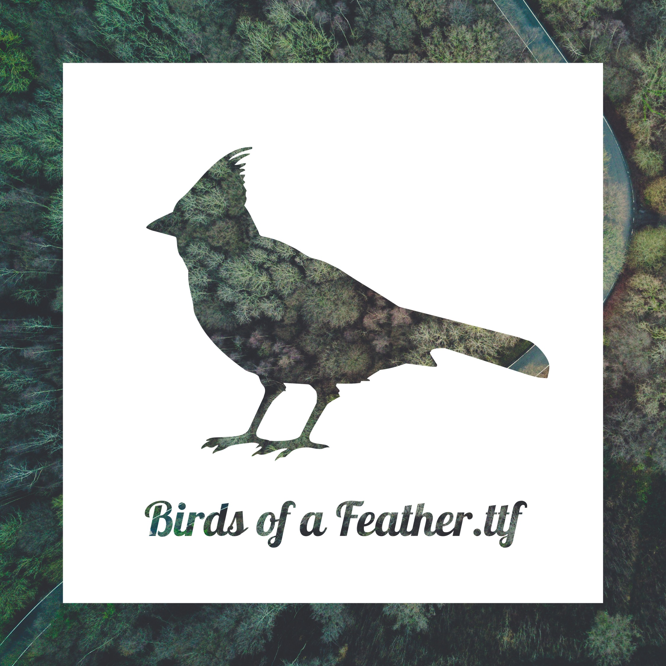 ppt形状格式设计技巧,ppt动态图形表教程