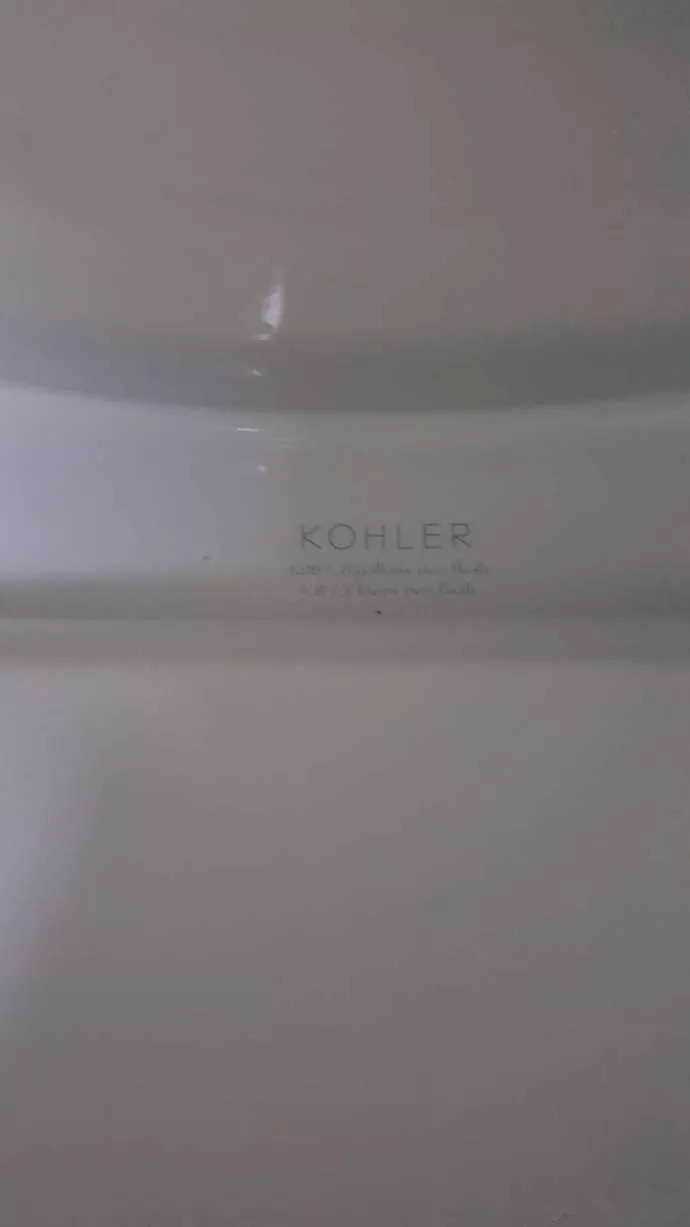 正反话都让你们说了,我家的科勒马桶连张纸巾都冲不下去