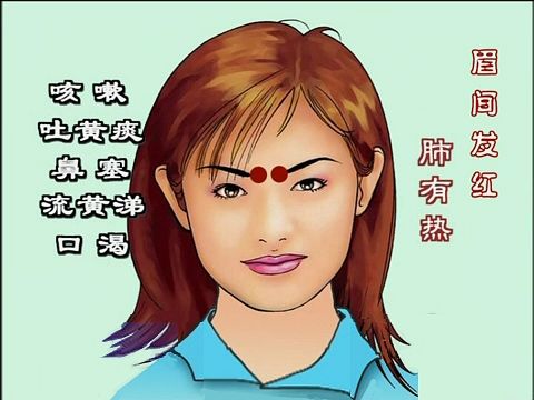 中基中诊题目,中基中诊理论知识重点