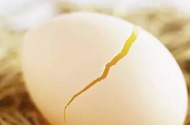 鸡蛋虽好但这7种蛋最好别吃,吃蛋有什么坏处