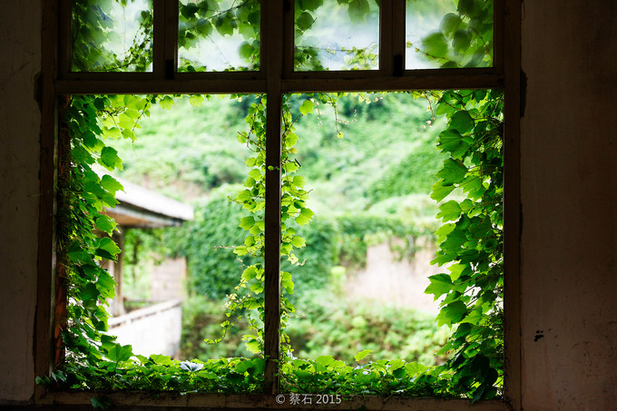 舟山海岛旅游攻略枸杞岛,舟山群岛值得去的小岛