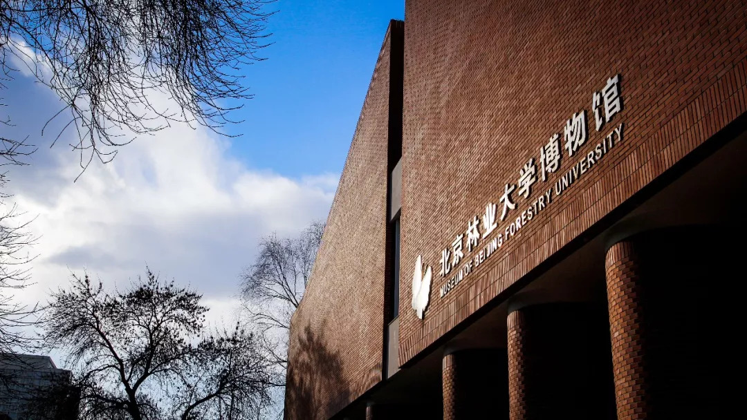 北航和农大,北航的八大学院