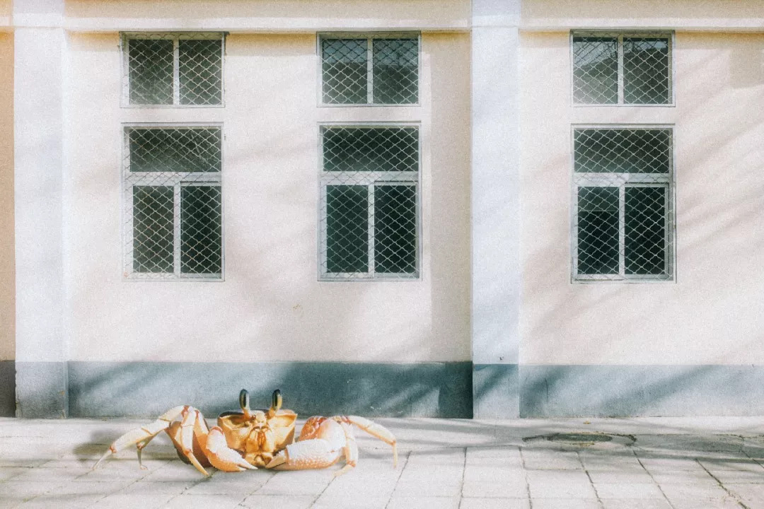 北航和农大,北航的八大学院