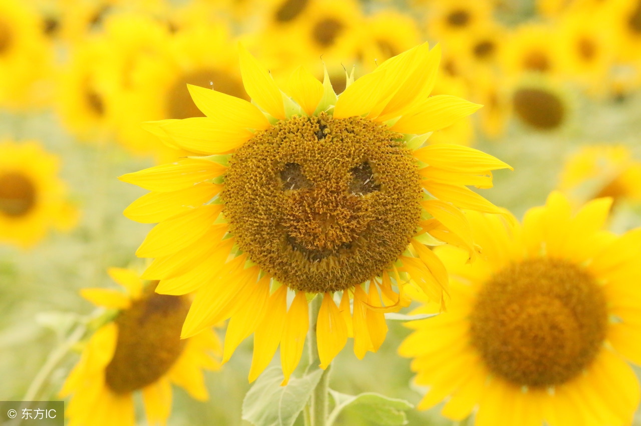 最美的风景留下最难忘的记忆,看最美的风景留下美好的回忆
