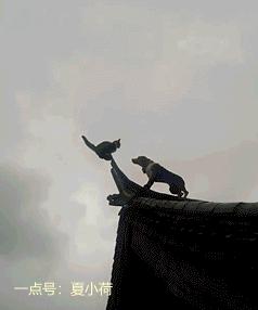 遇到强迫症的女生该怎么办,强迫症女朋友该怎么办