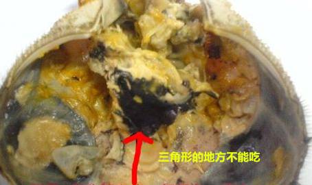 「健康」你真的会吃螃蟹？这四个部位万万不能吃！