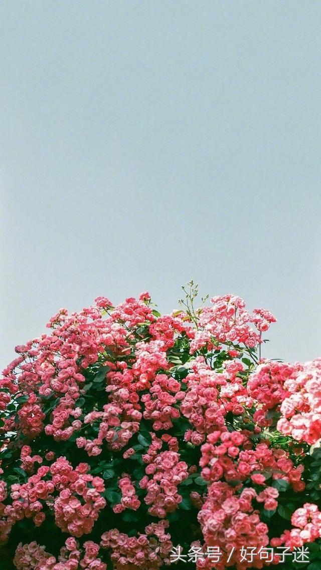 心情语录精致走心句句说到心窝上,一句话心情签名精辟走心短句