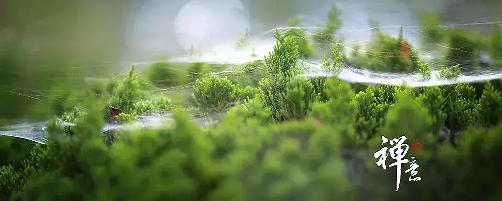 禅文化旅游项目,禅文化旅游区规划