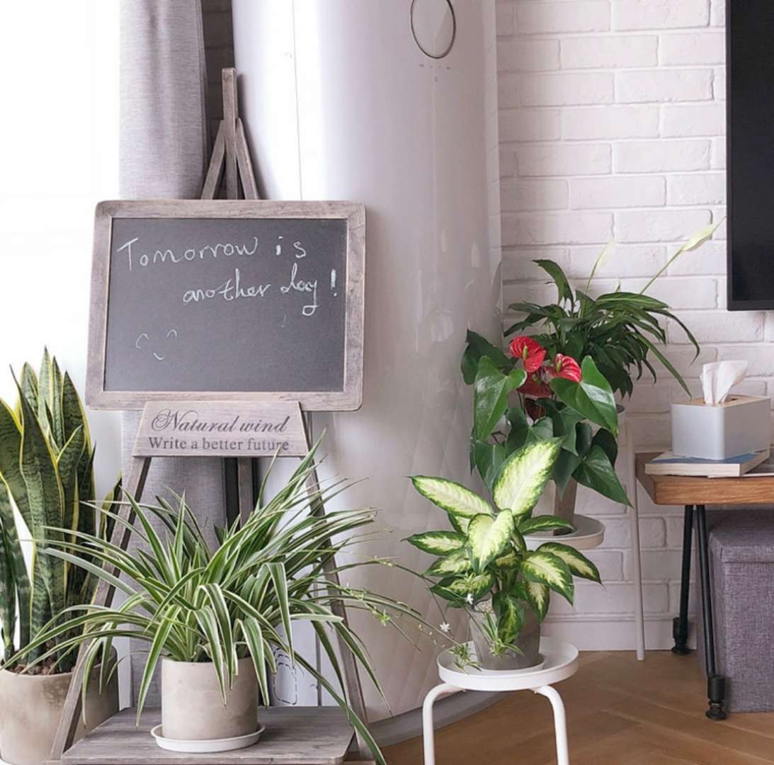 90后旅行达人,旅行达人宅家日常