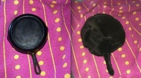 绝地求生吃鸡皮肤表情包,绝地求生freshhood联名皮肤