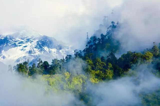 藏西的风景,藏西有哪些景点