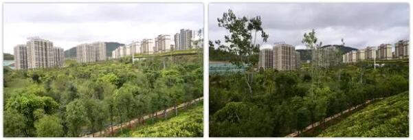 曾经的海东你还记得吗？“灭荒”进行时，现在的海东怎么样了？