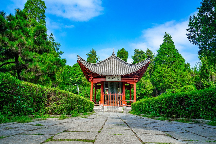 探寻自然与历史的魅力,走进大自然了解历史人文