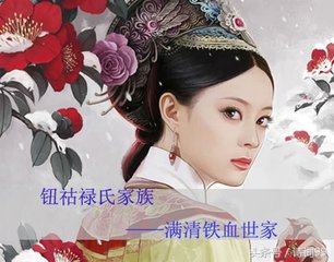 满清皇帝后宫表,清朝后宫嫔妃等级表几品