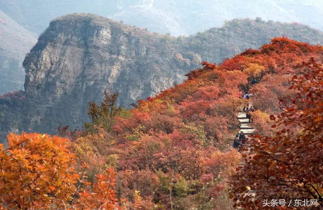 北京秋天一定要看的美景,北京秋天到处都是天堂般的美
