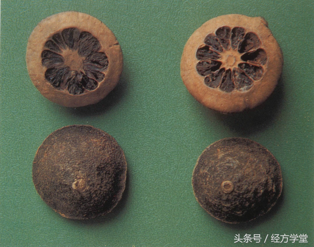 枳实芍药散组方,江苏名中医王少华枳实芍药散