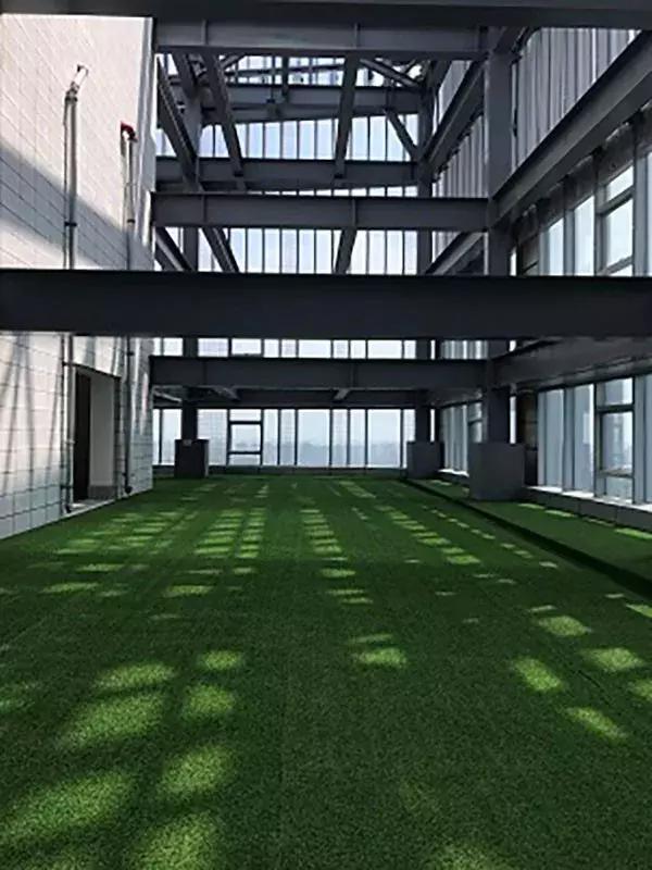 王子饭店曾经的女老板，在北郊盖了栋楼，里面放了1600件瓷器