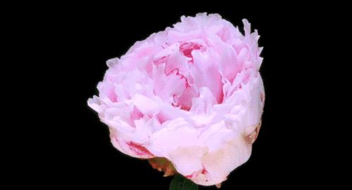 千金难买，离婚教我的六件事