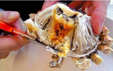 「健康」你真的会吃螃蟹？这四个部位万万不能吃！