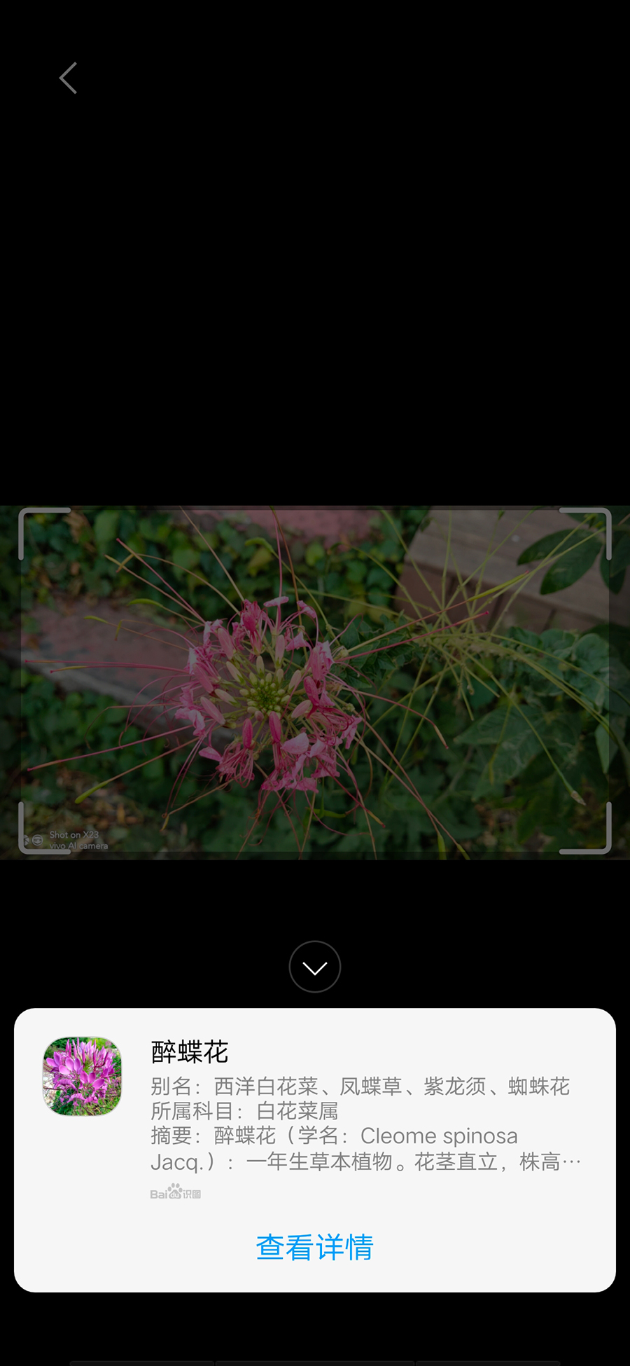 vivox23骁龙670八核,vivox23骁龙670玩原神