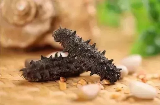 66岁母亲买海参,66岁母亲卖海参