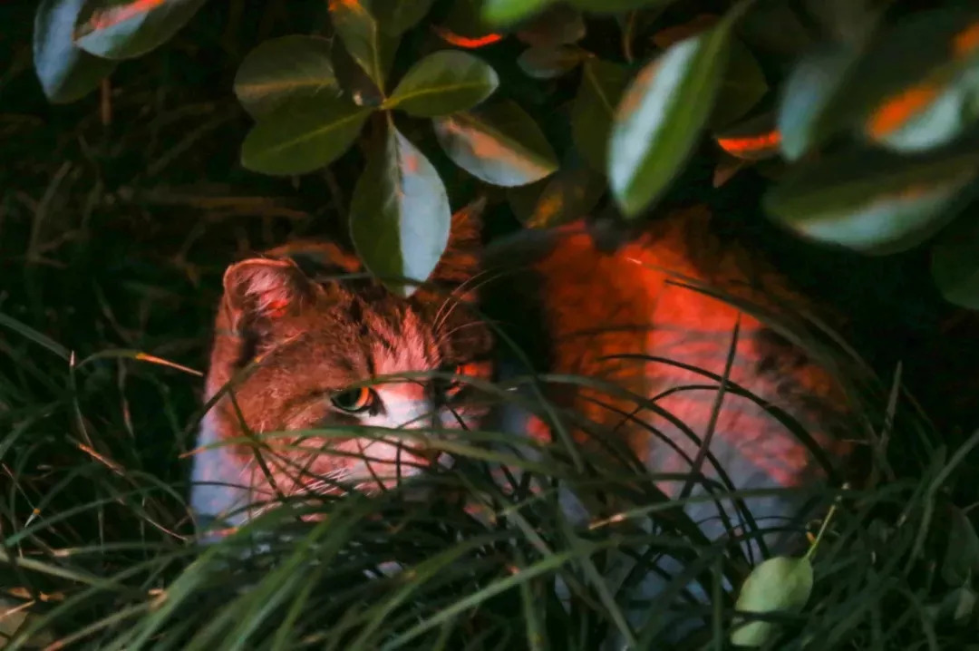 2005年的南京街头真实影像,记忆中的南京照片