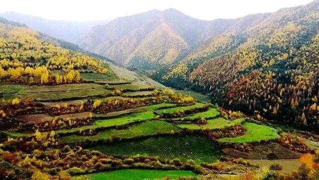 秋天甘南旅游攻略,看甘南草原风光