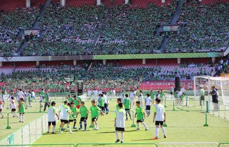 灏忚冻鐞冨ぇ姊︽兂娲诲姩鏂规,灏忚冻鐞冨ぇ姊︽兂涓婚娲诲姩