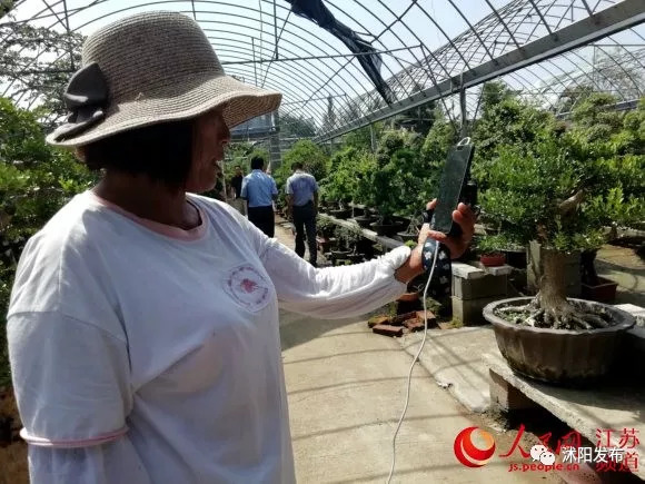 「人民网·江苏头条」花乡沭阳看变化：花农变“网红”直播念新经