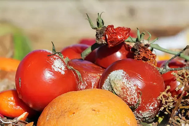 5种菜既伤肝伤肾还致癌,饮食健康不能吃哪些食物