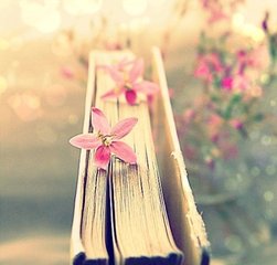 aabcabcc的四字成语大全,成语aabc一年级到二年级