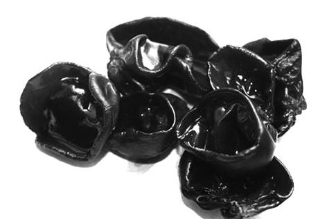 黑木耳打农药是真的吗,黑木耳喷农药事件