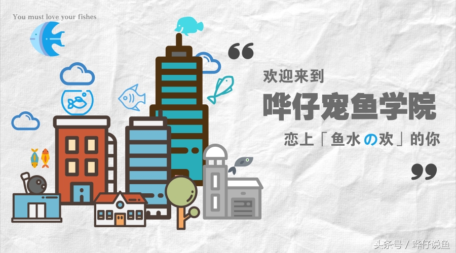 观赏鱼喂鱼的方法一天几次,养金鱼的1357原则