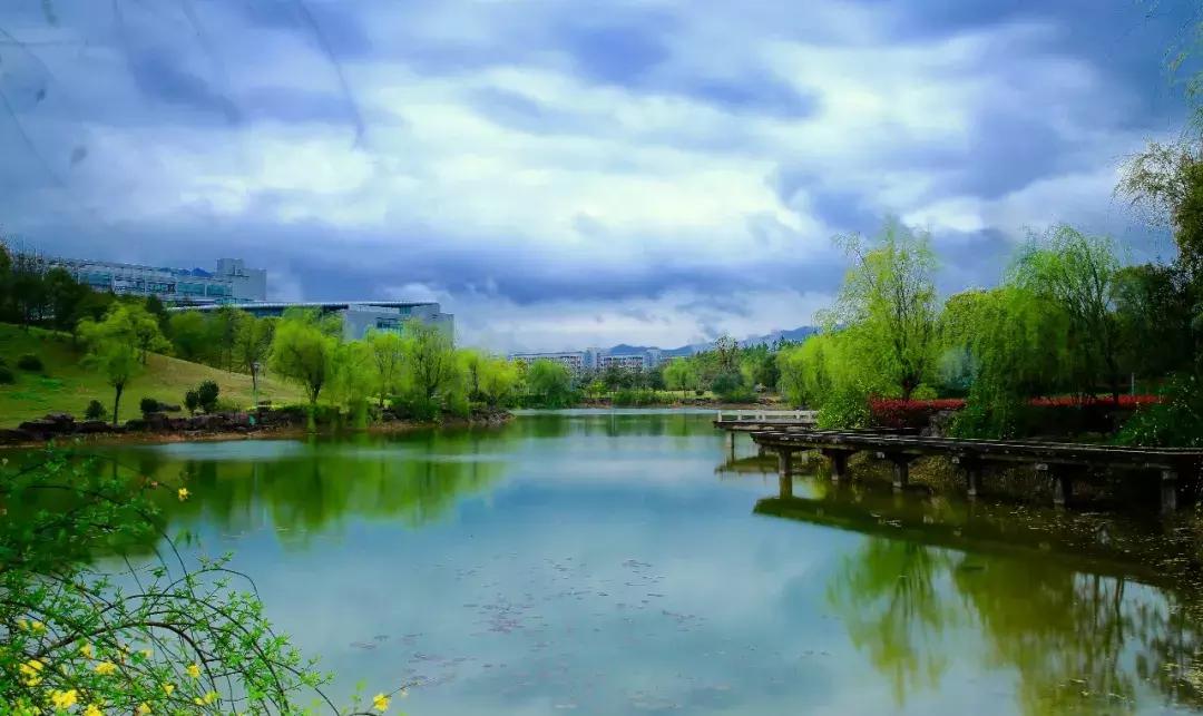 浙师新版月饼C位高调出道！校友们坐不住了，一片求代购声！