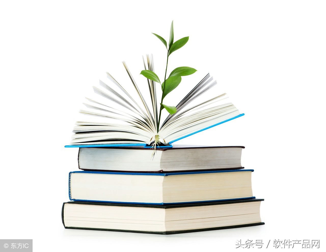 知识库软件,公司知识库软件