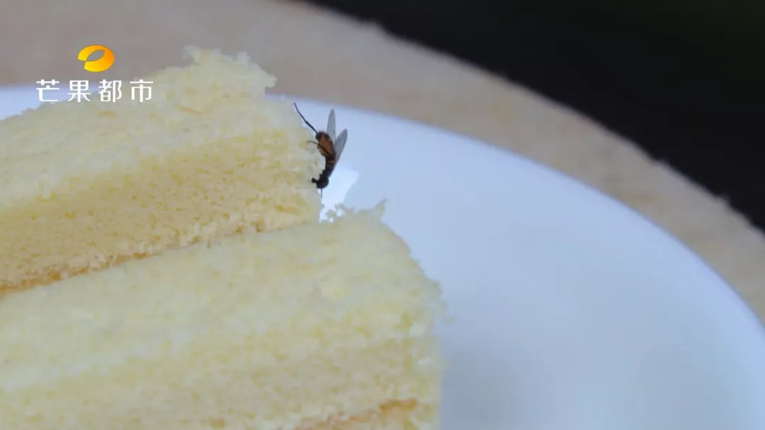 长沙天价月子中心：产妇吃出长虫！后厨碗筷不洗、垃圾溢出、苍蝇乱飞……