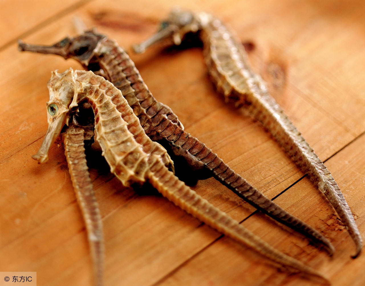 中药归经配方,药物归经主治口诀