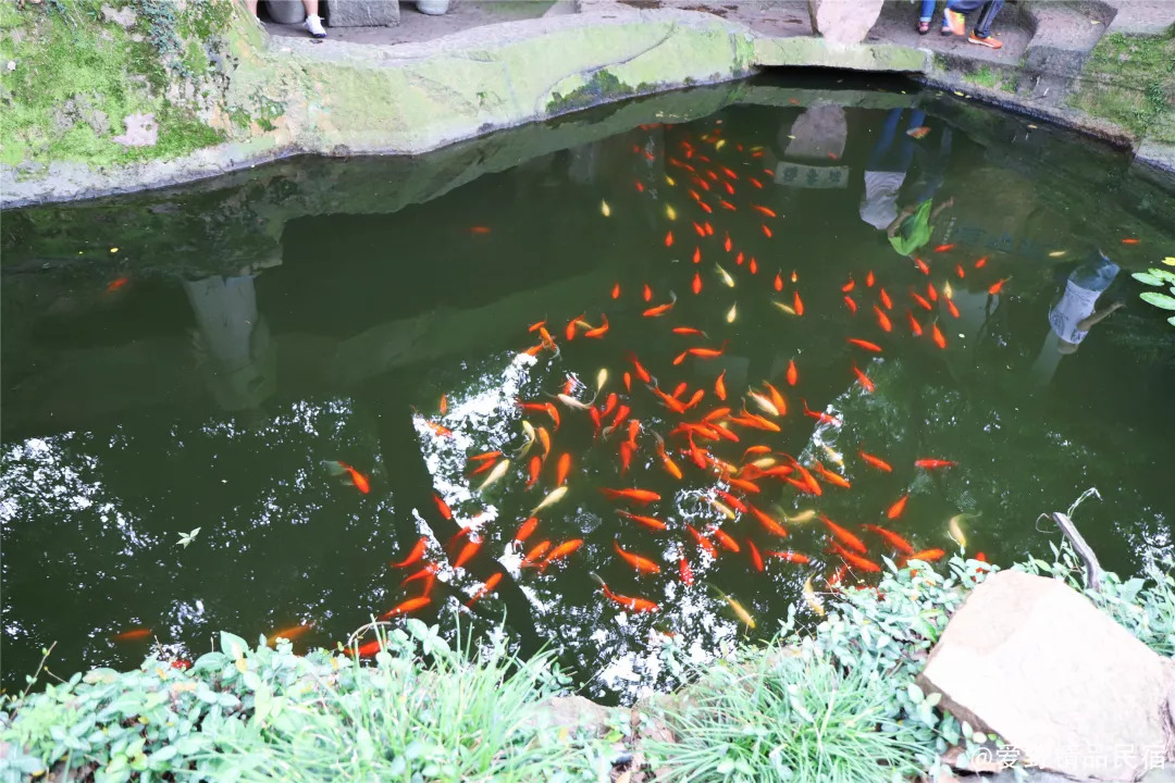 杭州3天2夜｜西子湖畔，脚步丈量这座底蕴深厚的城-爱野精品民宿