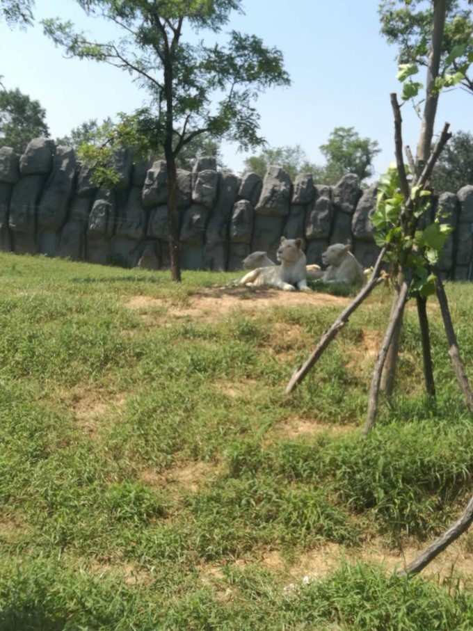 寻秦记旅游,寻秦记自驾旅游