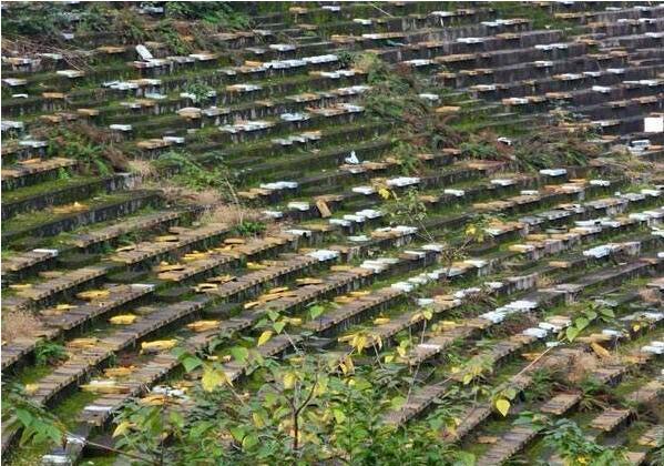 重庆大田湾体育场最新规划,重庆大田湾体育馆有足球场吗