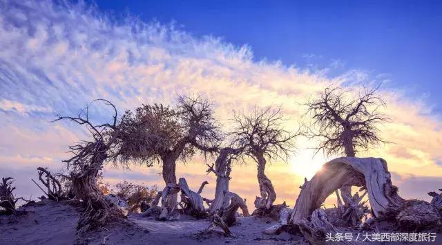 额济纳旗旅游安排时间表,额济纳旗旅行全攻略