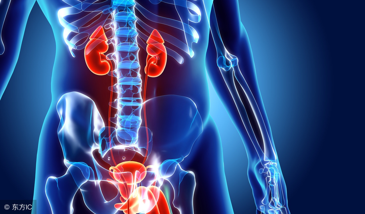 男人有前列腺炎会影响伴侣吗,男人有前列腺炎还能受孕吗