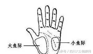 象数疗法阴阳平衡,周常卿阴阳平衡疗法