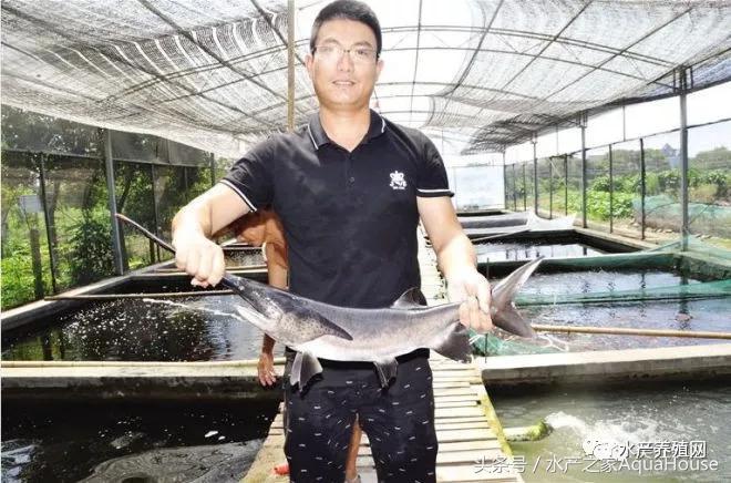 今日水产市场价格一览表,水产市场每日最新报价直播