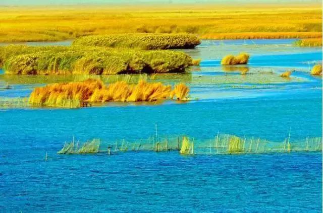 国内最美的十大海滨城市,国内最撩人的20个金秋童话