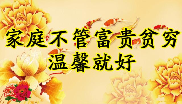 会动的图片一览表,会动的图片完整版