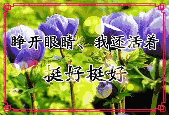 会动的11张图片,会动的花动态图片