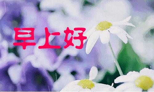 朋友祝你年年十八你怎么回,朋友愿你天天开心吉祥如意