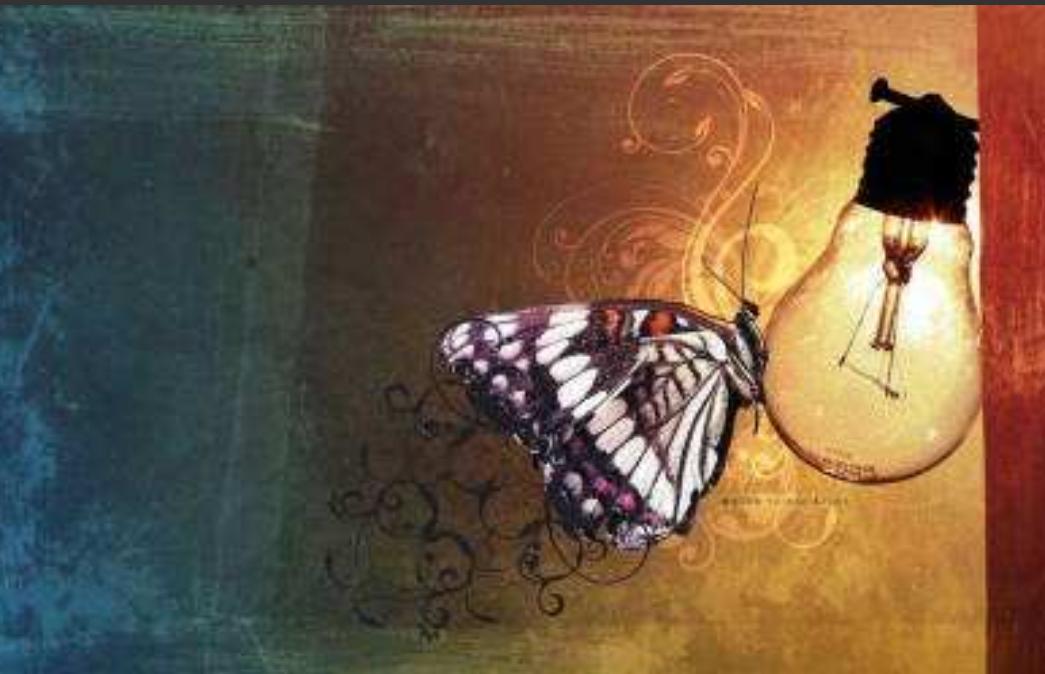 萤火虫的小夜灯故事简短版,飞蛾和灯泡的故事全部